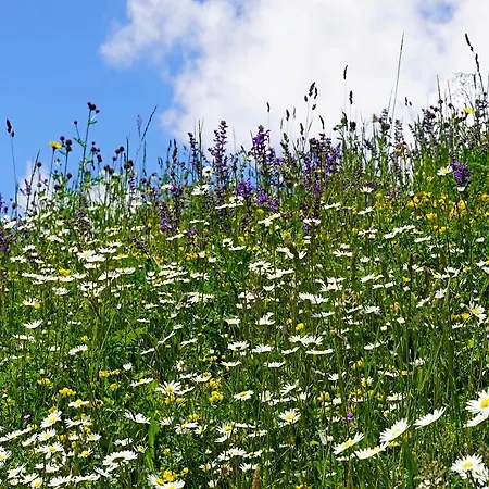 Chasa Fent, Sent Im Engadin 스쿠올