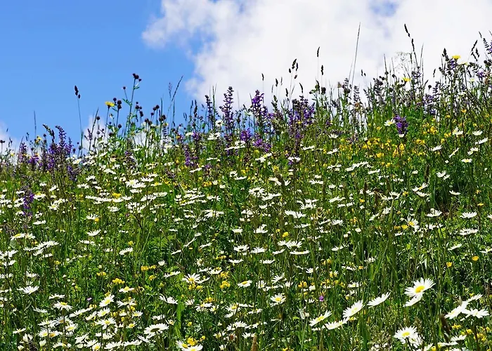 Chasa Fent, Sent Im Engadin Scuol